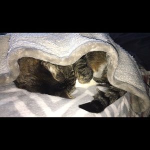 Meet your Posher, Luke